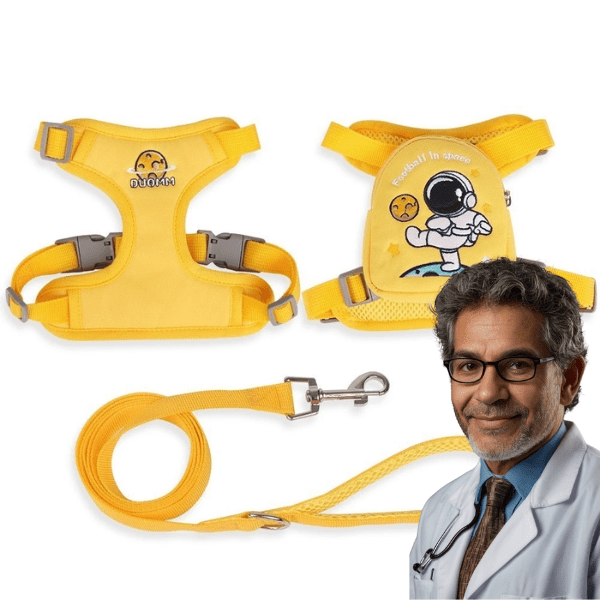 Peitoral Coleira Com Guia e Bolsa Removível Para Cachorro Pet Cães Pequenos E Médios Gato De Viagem