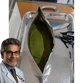 Moringa em Pó 100% Pura - Potência Natural para sua Saúde 🌿